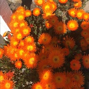 Meet your Posher, Huong